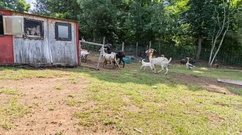 3227 Elon Rd, Monroe, VA 24574 photo 45