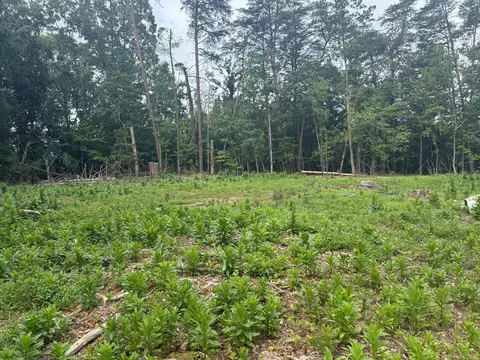 5766 Wards Rd, Evington, VA 24550 photo 1