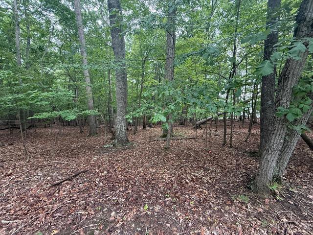 17 Saunders Point Rd, Huddleston, VA 24104