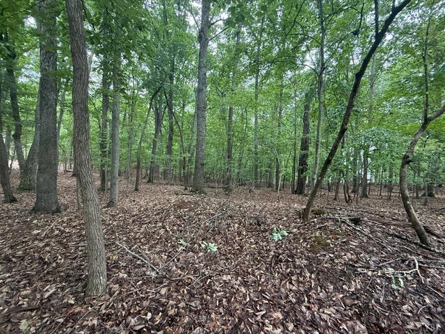 18 Saunders Point Rd, Huddleston, VA 24104