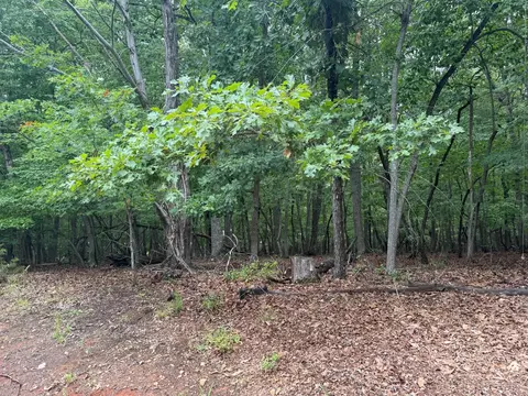 24 Lee Dr, Huddleston, VA 24104