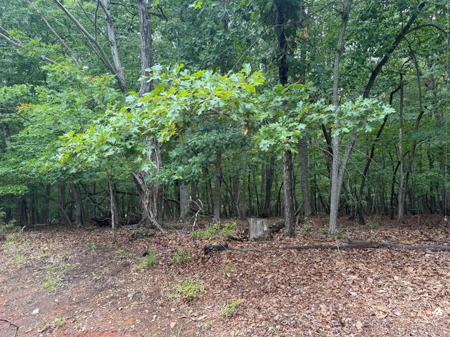 24 Lee Dr, Huddleston, VA 24104
