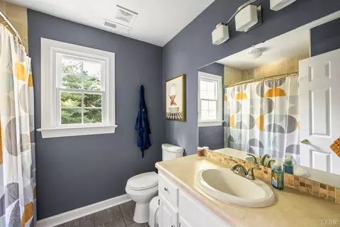 Bath - 109 Britt Pl, Forest, VA 24551 photo 3 of 3