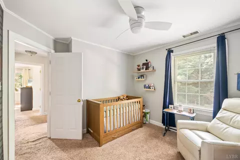Other - 109 Britt Pl, Forest, VA 24551 photo 9 of 19