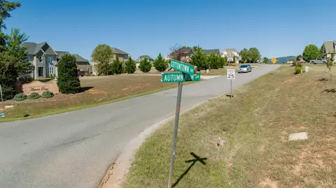 View/Area - 45 High Oaks Dr, Forest, VA 24551 photo 4 of 6