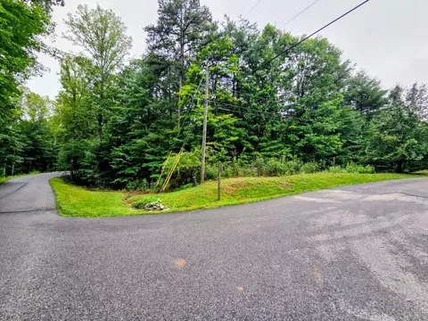 0 Gap Bridge Rd, Moneta, VA 24121 photo 6