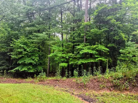 0 Gap Bridge Rd, Moneta, VA 24121 photo 2