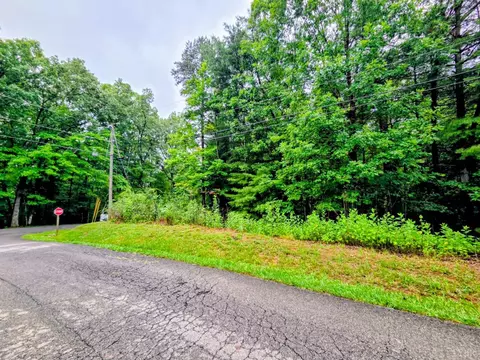0 Gap Bridge Rd, Moneta, VA 24121 photo 5