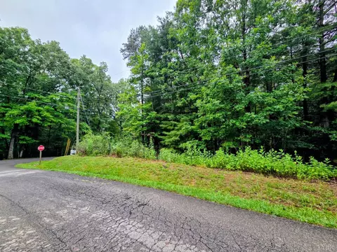 0 Gap Bridge Rd, Moneta, VA 24121 photo 4