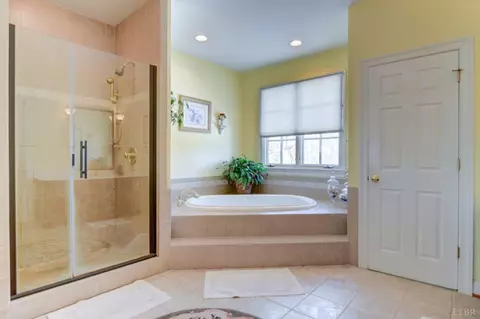 Bath - 3471 Bellevue Rd, Forest, VA 24551 photo 2 of 7