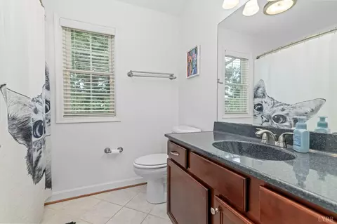 Bath - 209 Davids Way, Evington, VA 24550 photo 1 of 4