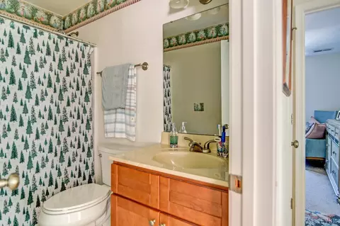 Bath - 29 Arrington Dr, Evington, VA 24550 photo 4 of 4