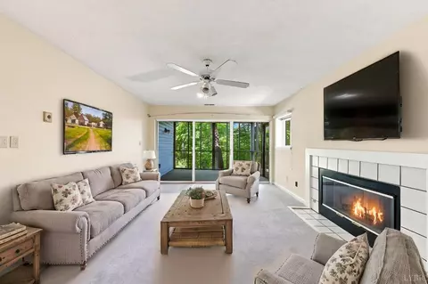 Living - 411 Oak Point Rd, Forest, VA 24551 photo 11 of 11