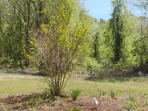 Exterior - 4183 Tye River Rd, Amherst, VA 24521 photo 8 of 24