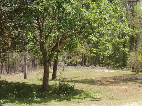Exterior - 4183 Tye River Rd, Amherst, VA 24521 photo 6 of 24