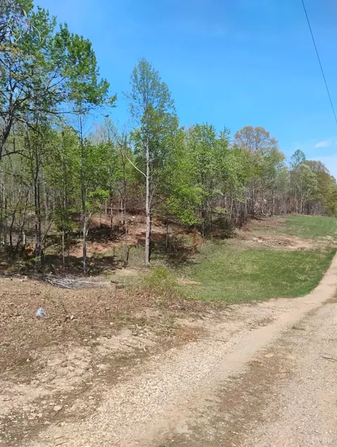 Exterior - 4183 Tye River Rd, Amherst, VA 24521 photo 10 of 24