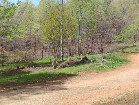 Exterior - 4183 Tye River Rd, Amherst, VA 24521 photo 4 of 24