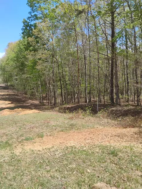 Other - 4183 Tye River Rd, Amherst, VA 24521 photo 14 of 16