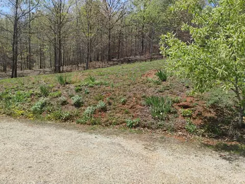 Exterior - 4183 Tye River Rd, Amherst, VA 24521 photo 24 of 24
