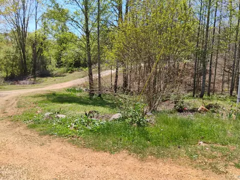 Exterior - 4183 Tye River Rd, Amherst, VA 24521 photo 23 of 24