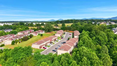 View/Area - 1232 Commonwealth Cir, Forest, VA 24551 photo 6 of 6