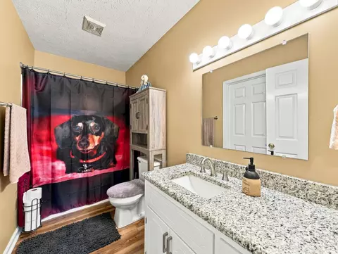 Bath - 1155 Abbey Pl, Forest, VA 24551 photo 4 of 4