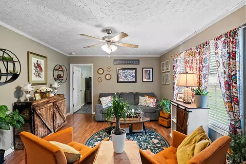 Living - 3167 Bellview Rd, Appomattox, VA 24522 photo 3 of 4