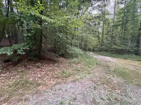 0 Wright Ln, Lovingston, VA 22949 photo 5