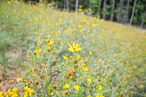 Other - 323 Mountain Top Way, Amherst, VA 24521 photo 7 of 19
