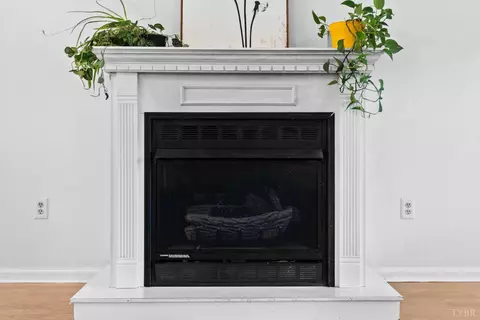 Other - 110 Maplewood Dr, Forest, VA 24551 photo 1 of 12