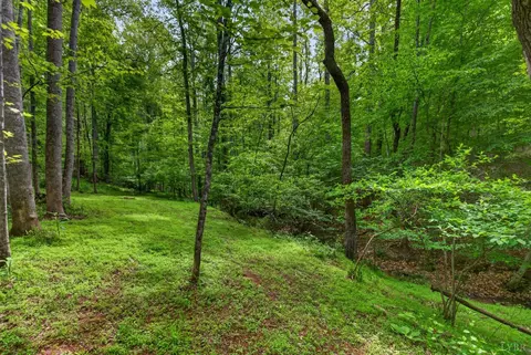 Exterior - 1249 Cedar Gate Rd, Monroe, VA 24574 photo 21 of 26