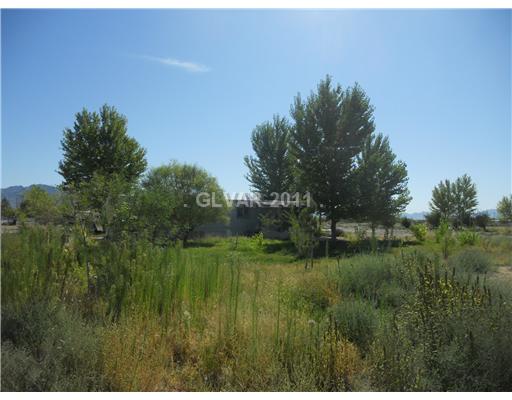 Undisclosed, Jean, NV 89019 photo 1