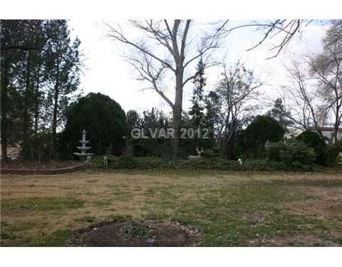 175 Robbin Ave, Overton, NV 89040 photo 11