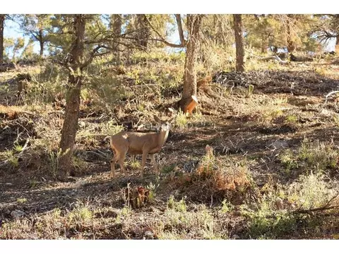 400 Echo Rd, Other, NV 89124 photo 5