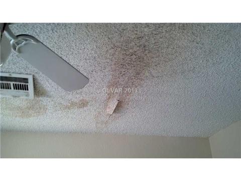 327 W Basic Rd, Henderson, NV 89015 photo 6