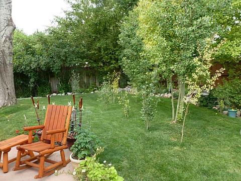 1107 Avenue I, Ely, NV 89301 photo 14