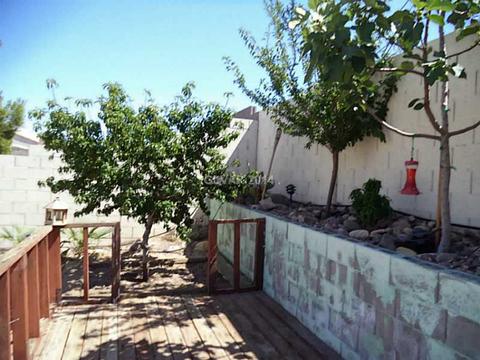 446 Wright Way, Henderson, NV 89015 photo 20