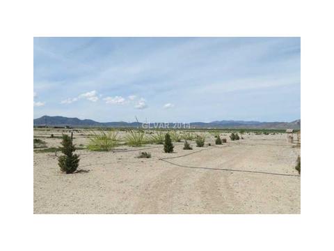 3535 N 151st E, Ely, NV 89301 photo 22