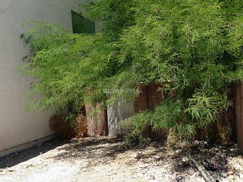 1555 Broken Bell Ln, Henderson, NV 89002 photo 23