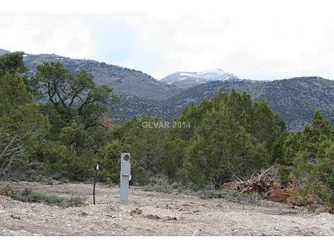 460 E Ward Mt, Ely, NV 89301 photo 6