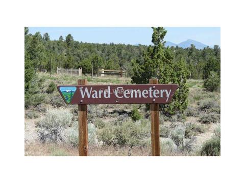460 E Ward Mt, Ely, NV 89301 photo 2
