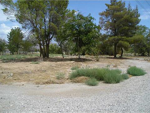 820 E Quartz, Sandy Valley, NV 89019 photo 12