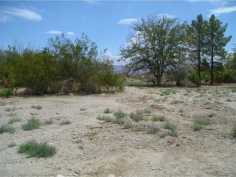 820 E Quartz, Sandy Valley, NV 89019 photo 4