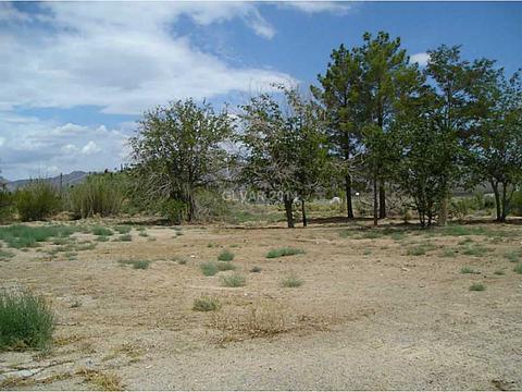 820 E Quartz, Sandy Valley, NV 89019 photo 8