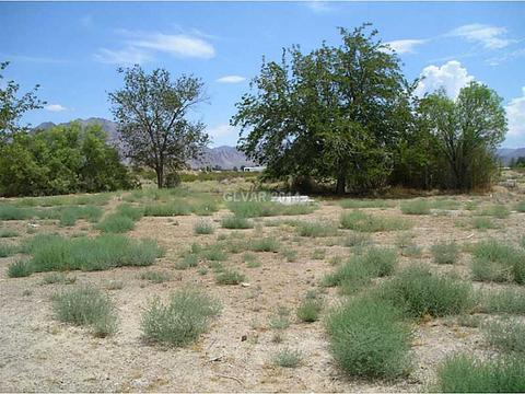 820 E Quartz, Sandy Valley, NV 89019 photo 9