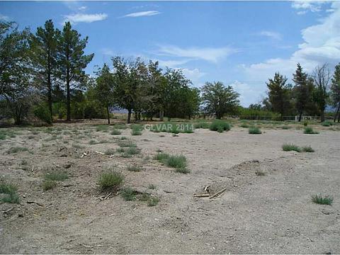 820 E Quartz, Sandy Valley, NV 89019 photo 2