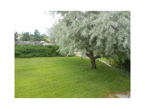 926 Avenue L, Ely, NV 89301 photo 17
