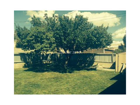 1010 Lyons, Ely, NV 89301 photo 8
