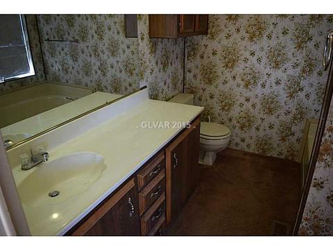 900 Eagle Ave, Sandy Valley, NV 89019 photo 8