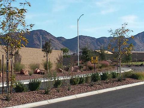 976 Harbor Ave, Henderson, NV 89002 photo 21